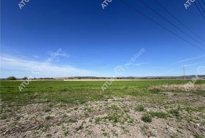Teren intravilan in Sibiu 3300 mp situat in zona Calea Suri - 2