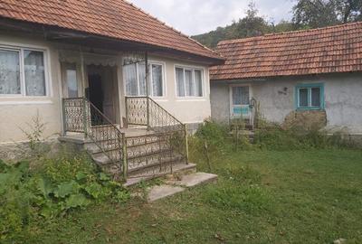 Vand casa si gradina - 4