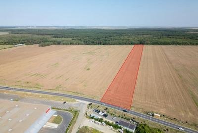 Teren Vanzare Intravilan Branesti investitie Zona Industrial - 4