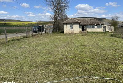 Casă cu 4 camere cu Teren 2900 Mp în Slava Cercheză - 3