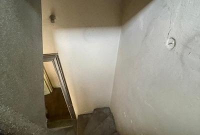 Villa Interblica - Parcul Carol Villa Interblica - Parcul Carol - 17