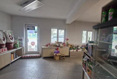Spațiu comercial, de 120 mp, în Buftea - 2