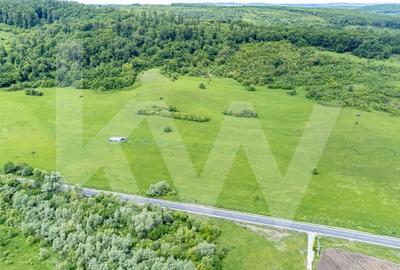 Teren de vanzare – 4.000 mp la intrare in Bradu, judetul Sibiu - 8