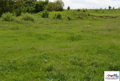 Teren de in Zona Livezeni - 3