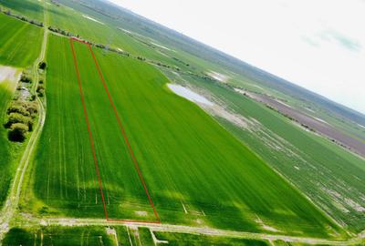 Teren Construcții extravilan de 10000 mp, în Căciulați