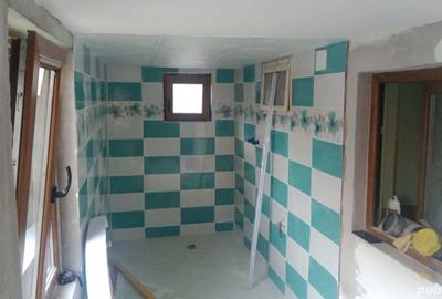 Casa de vanzare in Lugoj - 5