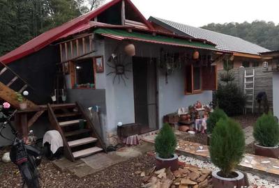 Casă cu 4 camere cu Teren 600 Mp în Nădrag - 8