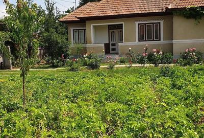 Casă cu 3 camere cu Teren 1511 Mp în Adâncata - 4