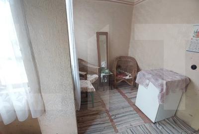 Blitz va ofera spre vanzare o casa cu teren generos in Cermei - 15