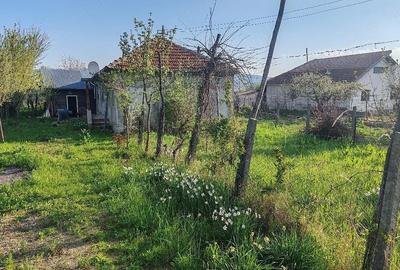 Casă cu Teren 5000 Mp în Unguriu - 10