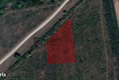 Spațiu comercial, în Oșorhei - 1