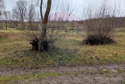 Teren 2,932mp Sarbi (Budesti) / Drumul Principal - 4