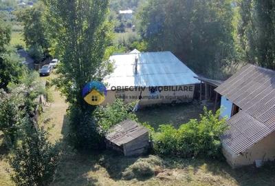 Casă cu 2 camere cu Teren 4500 Mp în Mastacăn (Dragomirești) - 10