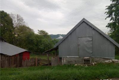 Casă cu 6 camere în Șopotu Nou - 1