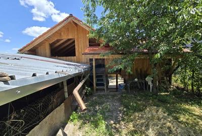 Casa cu gradina si mansarda - Aciliu, la doar 20 km de Sibiu! - 18
