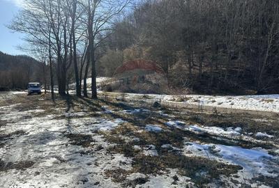 Teren de 1340 mp, în Gârcina - 5