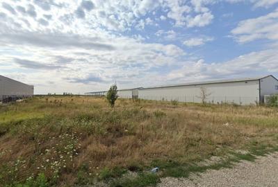 Teren Construcții extravilan de 10000 mp, în Afumați