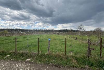 Spațiu comercial, în Dragodănești - 4