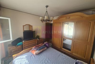 Apartament cu 3 camere de vanzare in Sinaia - 5