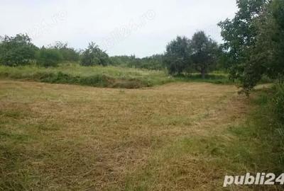 Casă cu 4 camere cu Teren 6200 Mp în Central - 1