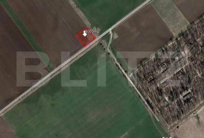 Teren de 3000 mp, în Bartolomeu - 2