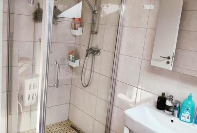 Apartament cu 3 camere decomandat, mobilat în Girocului - 23