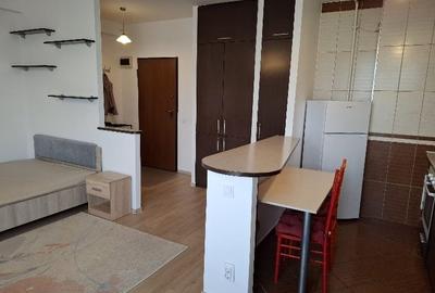 Pridvorului-Garsoniera mobilata si utilata Pridvorului-Garsoniera mobilata si utilata - 7