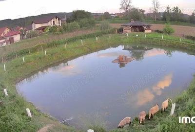 Teren intravilan 3843 mp de vanzare in Curtea de Arges - 2