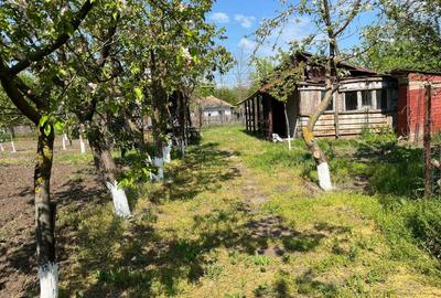 Spațiu comercial, în Înfrățirea - 1