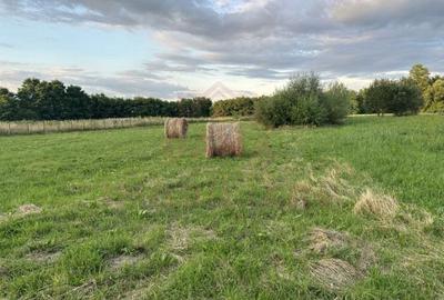 TEREN INTRAVILAN\699 mp, 45EUR mp\ CARANSEBEȘ\ ZONA TEIUȘ - 2