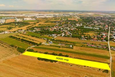 Teren intravilan construibil Bolintin Deal 5000 mp – dublă deschidere - 3