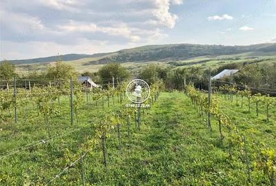 Teren de 6800 mp, în Mogoșești - 7