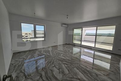 Penthouse, 140MP, zona Valea Lupului - 2