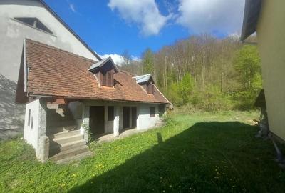 Casă cu 4 camere în Moneasa - 6