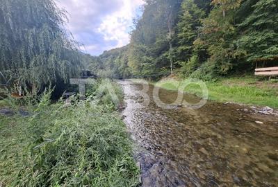 Spatiu de vanzare in Valea Macesului judel Valcea iesire la Lotru - 22