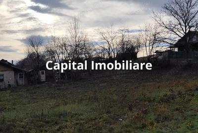 Teren Intravilan Baicoi 1061 mp - 2