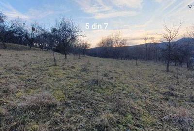 Teren de 50 mp, în Iara - 5