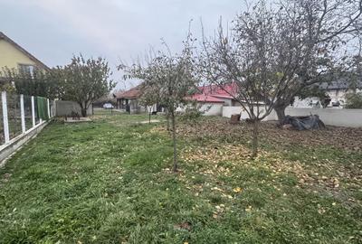 Casă individuală cu 4 camere cu Canalizare în Becicherecu Mic - 5