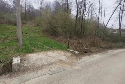 Teren 3100 mp si padure in Curtea de Arges zona Cuza Voda - 2