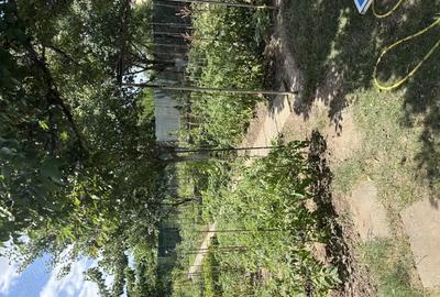 Proprietar - Vand casa Anda, teren de 800 mp, 4 camere, 2 bai, bucatarie Proprietar - Vand casa Anda, teren de 800 mp, 4 camere, 2 bai, bucatarie - 5