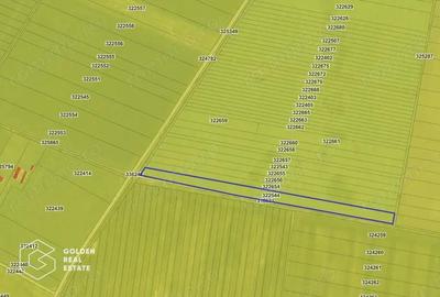 Teren agricol, 14 630 mp, Vladimirescu, ZERO COMISION