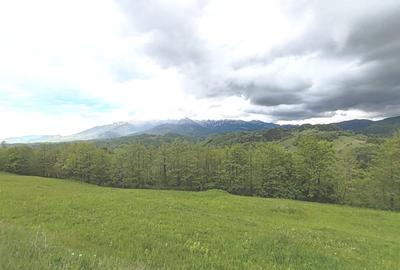 Oportunitate rara! Teren 7.283 mp, investitie garantata - 5