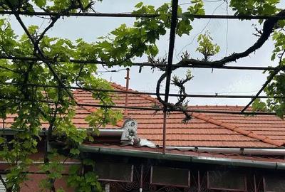 Casă cu 4 camere în Rușii-Munți - 5