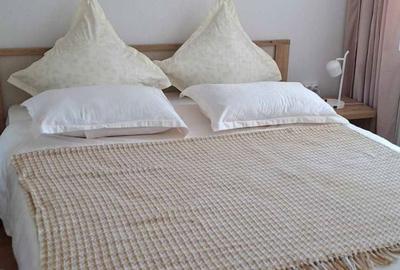 Apartament cu 2 camere în Central - 2