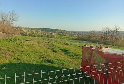 Spațiu comercial, în Cornetu - 6