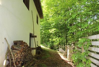 Casă cu 2 camere în Șugag - 1
