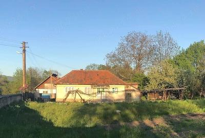 Casă cu Teren 1300 Mp în Râu Bărbat