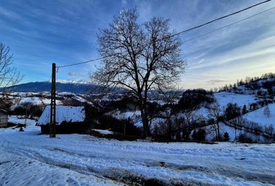 Teren intravilan Simon/Bran, 4318 mp , casuta intabulata, utilitati - 11