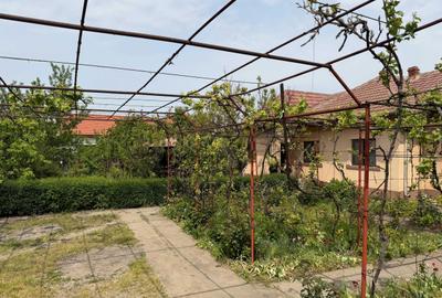 Casă cu 4 camere în Bran - 3