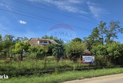 Casă cu 3 camere cu Teren 5800 Mp în Central - 20
